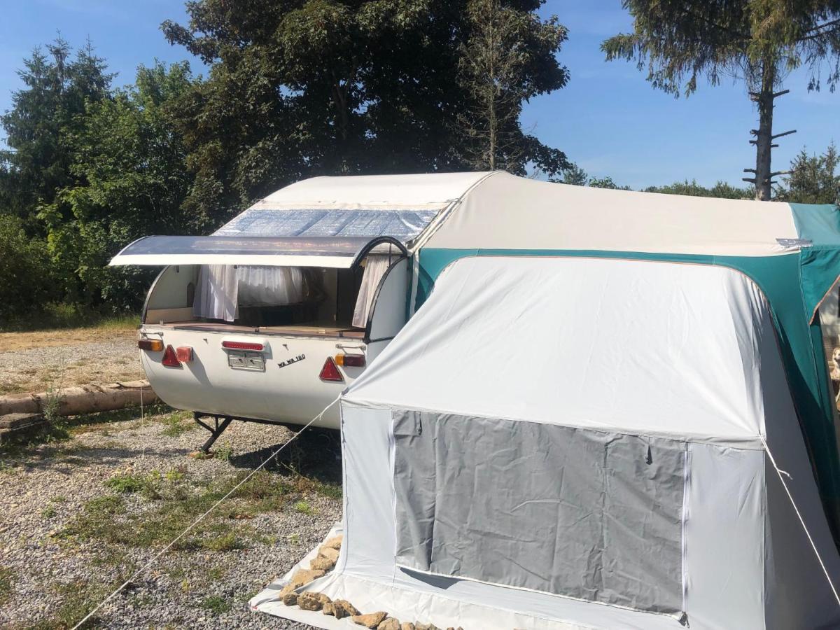 Naturia שימיי מראה חיצוני תמונה